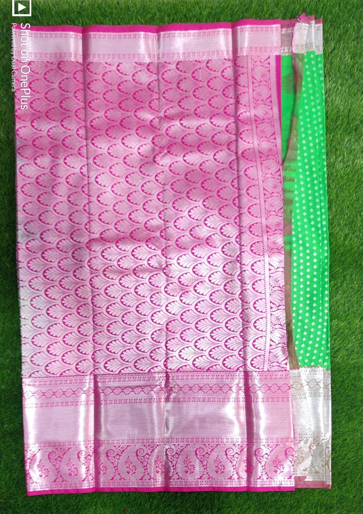 Varsham Buta